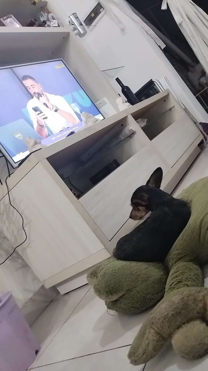MigueBivas's tweet photo. Acá con el capo de la casa mirando #nadiedicenada https://t.co/S4JvzTGnTK