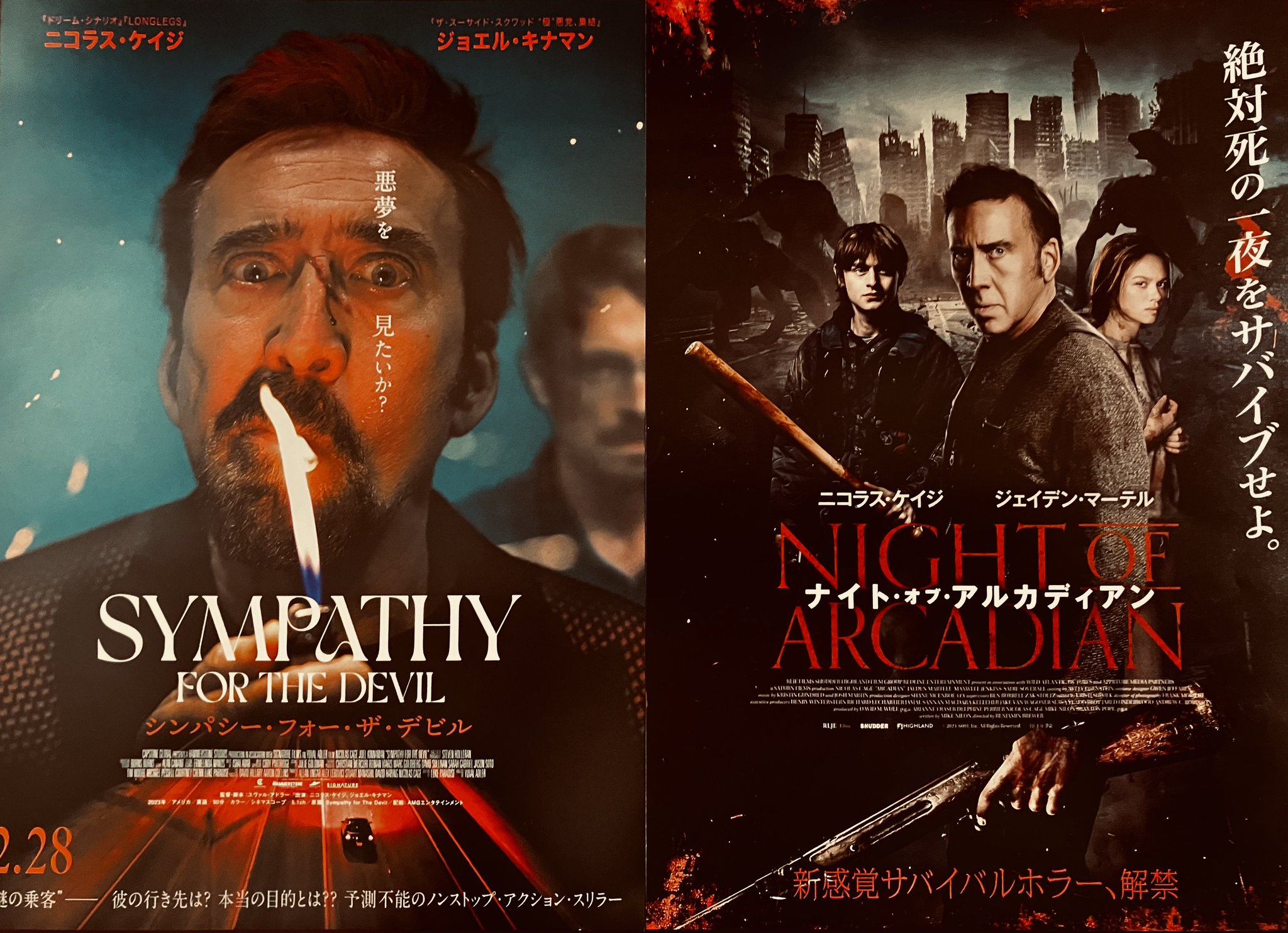 ニコラス刑事 ニコラス・ケイジ狂気撒き散らし『シンパシー・フォー・ザ