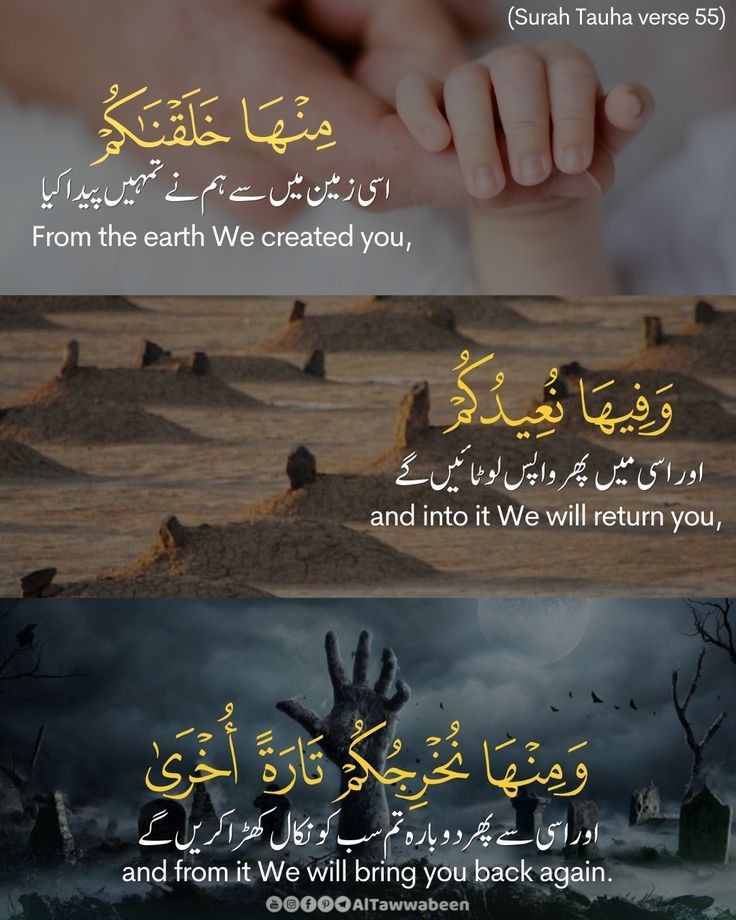 pagli__dewanii's tweet photo. السلام علیکم ورحمتہ اللّٰہ وبرکاتہ 🫶
صبح بخیر پیارے لوگوں ❤️
اَلصَّـلٰوةُوَالسَّـلَامُ عَلَیـْكَ یَارَسُـوْلَ اللّٰهﷺ📿

Good Morning, May your day be filled with Blessings...❤️