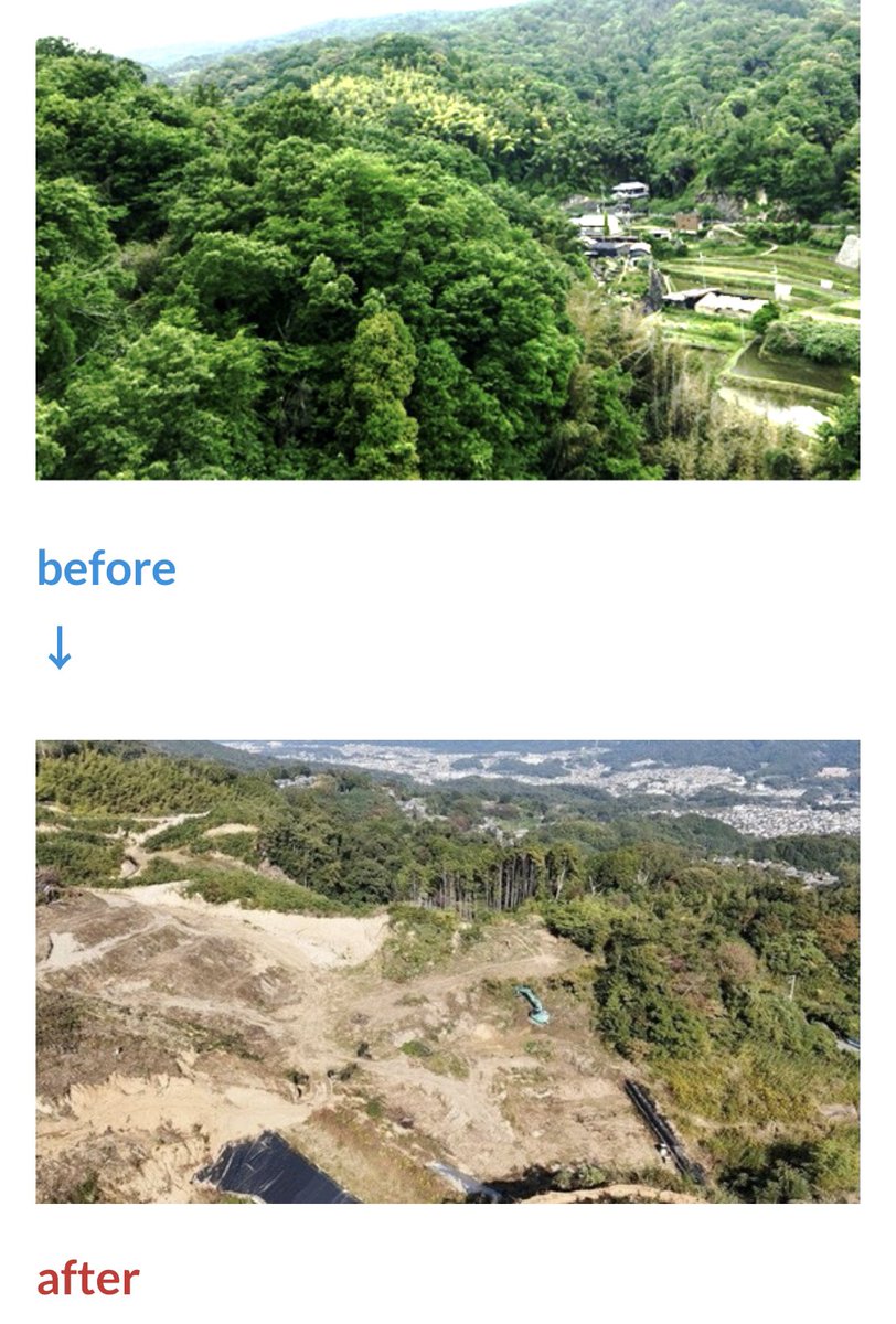 ひどい豹変ぶり
またソーラーパネル開発！！
山の開発者は心があるのか？
ぜひ反対署名を！
#環境破壊
#自然
#環境保護
#ソーラーパネル
#再エネ

chng.it/H2JzQRHCvx