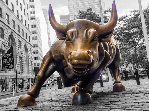 HTX_Global's tweet photo. gm! Only bulls can gm back! https://t.co/7ZpmBePIM4