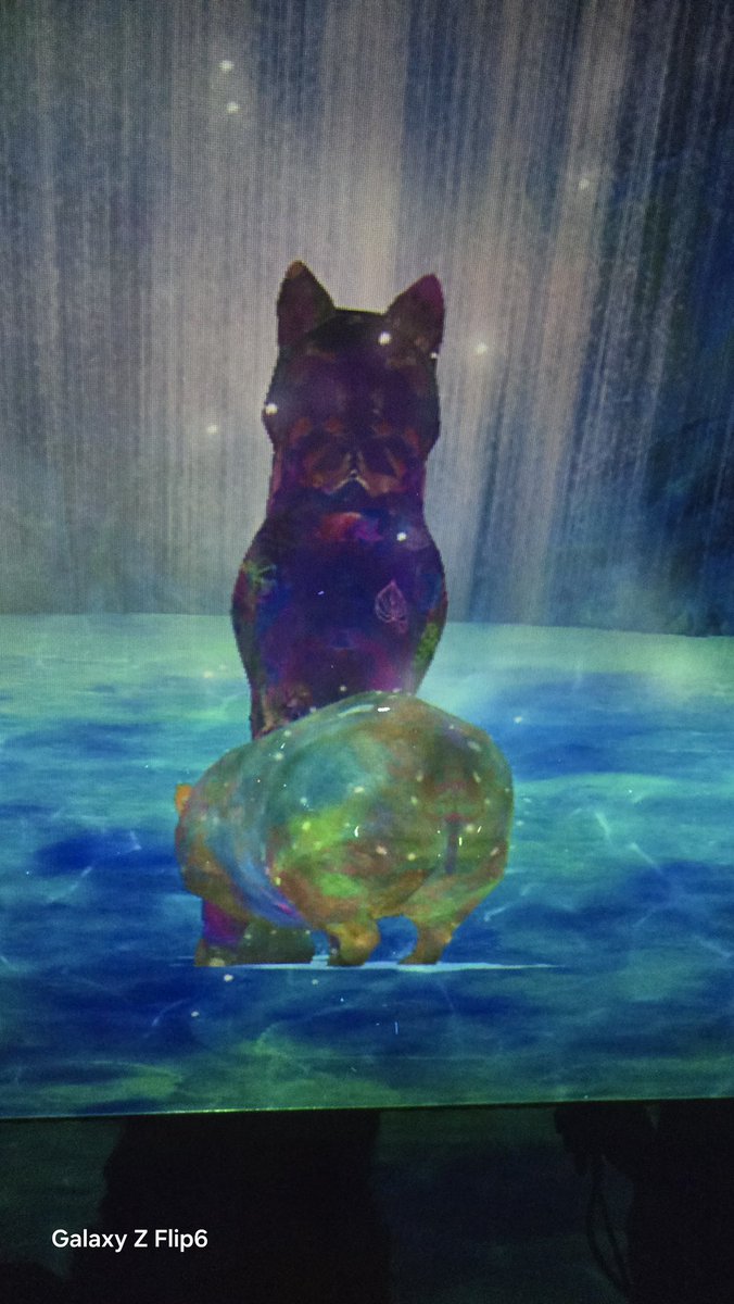 keseran0_nmkw's tweet image. 夜鷹が召喚中ww

#GalaxyHarajuku
#GalaxyAI
#teamLabGalaxy
#チームラボ