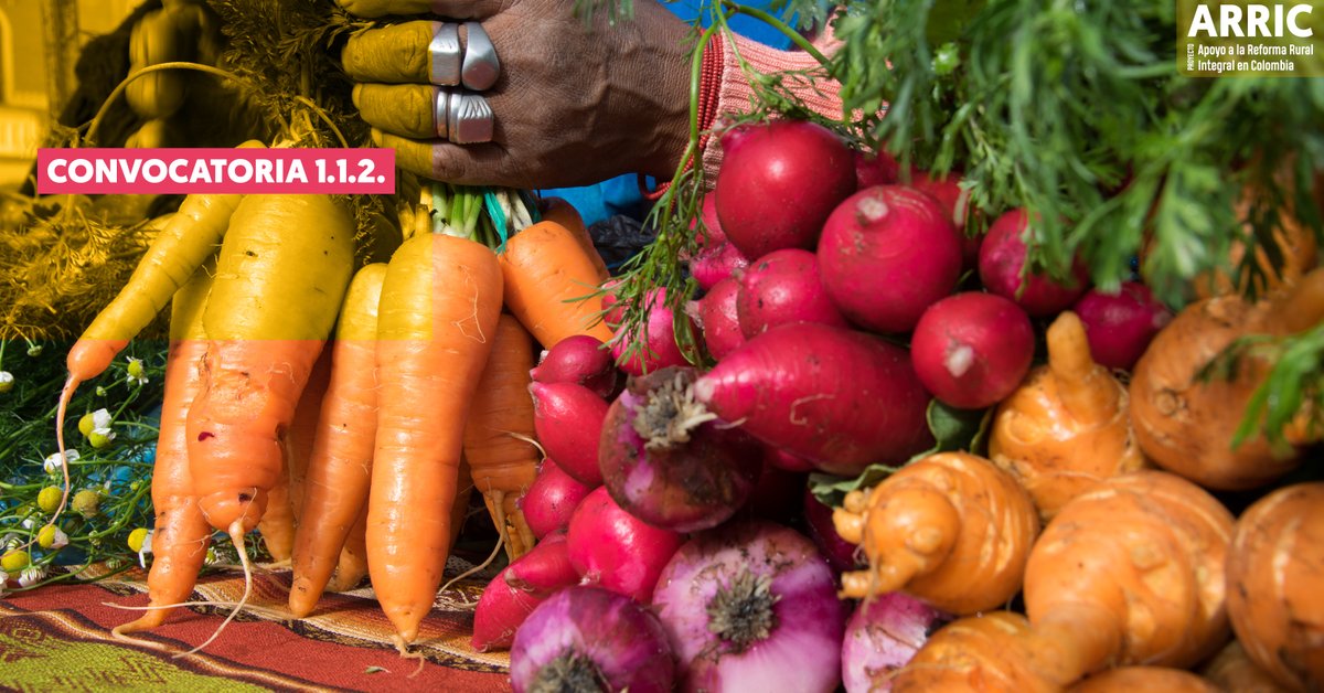 🔵🟢🟡 #ARRIC 🇨🇴

📢 CONVOCATORIA 1.1.2.
Consultoría para apoyo a las consultorías locales: 1) Diagnóstico del Subsistema Nacional de Formación y Capacitación para la Innovación Agropecuaria y 2)  diseño de un curso virtual…

🌐 Descarga los TDR:
avsforg-my.sharepoint.com/:f:/g/personal…