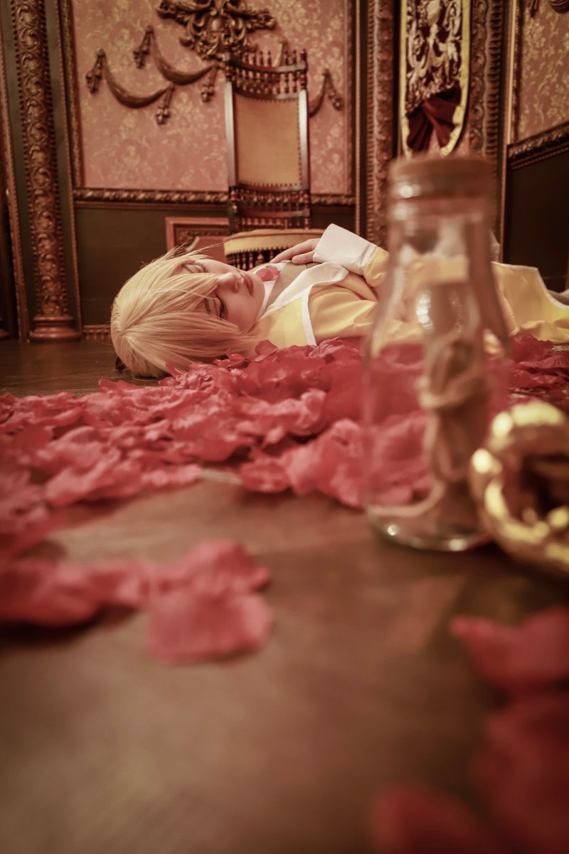 【Cosplay】

       悪ノ召使

         ー君がくれたメッセージー