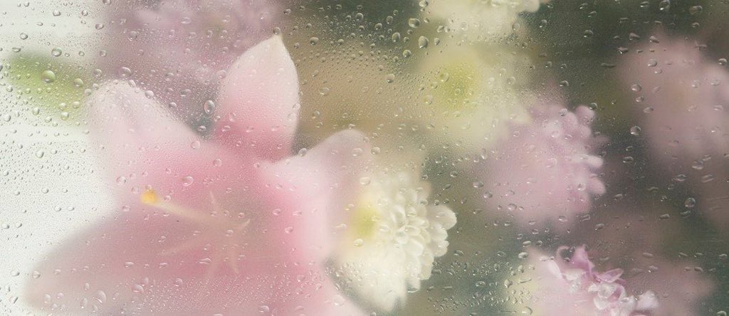 marnie ⋆𐙚₊˚⊹ tweet media