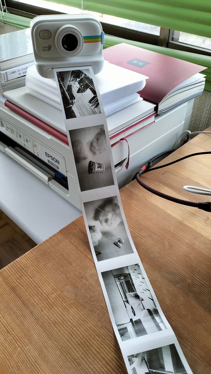 uesamaugo's tweet image. #printcamera #studentcamera #toycamera #fashion #firstcamera #fyhuioo #プリントカメラ #トイカメラ #感熱紙 #信楽フォトフェスティバル