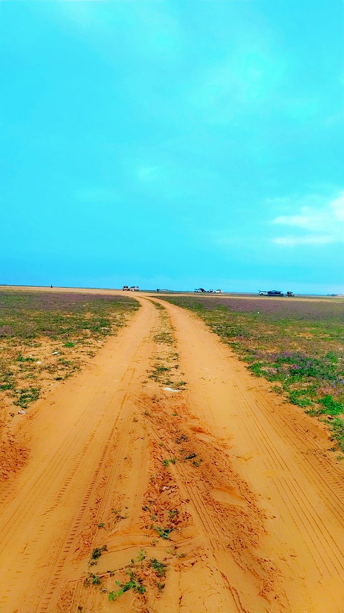 صباح الخزامى
1446/7/7
#ساموده