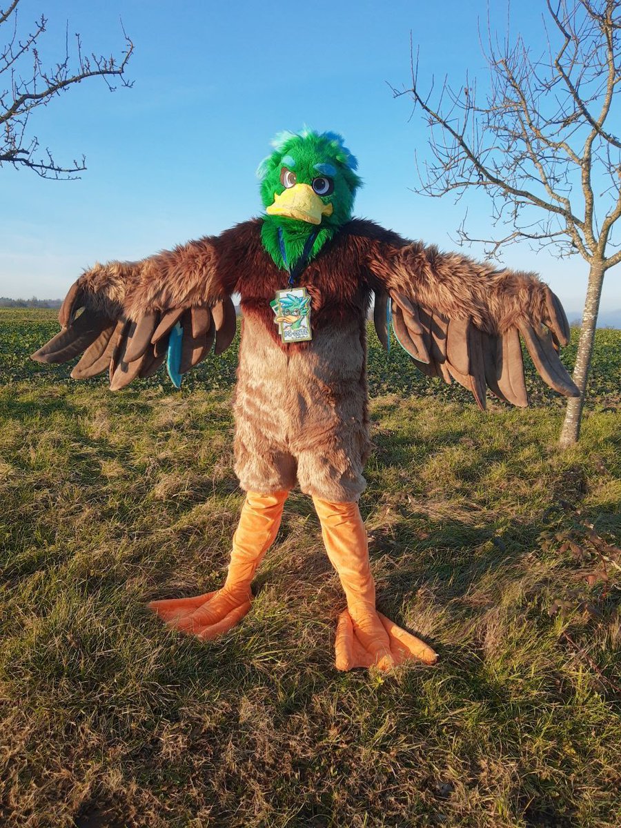 PC-Ente 🔜 SFC tweet media