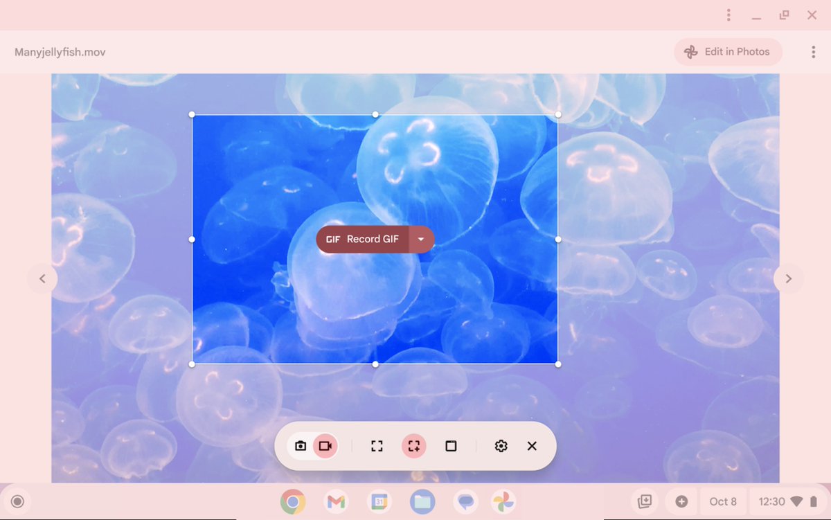 GoogleForEdu's tweet image. We love this exciting #Chromebook feature! 😃 Educators, apply custom GIFs to lessons and #GoogleSlides presentations right on your #Chromebook. Don&apos;t forget about creating and sharing screen recordings in GIF format too! 🎥 Check it out here: goo.gle/4fyFNem