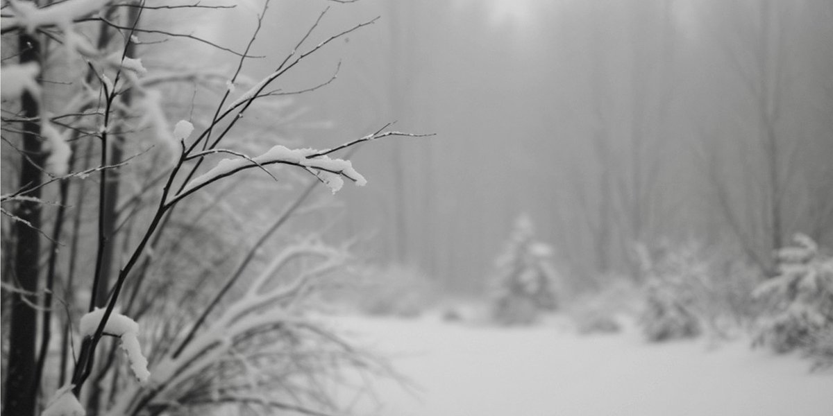 darklywhispers's tweet photo. Winter feels like a long, cold breath held too long, a silence that stretches and pulls at the heart, reminding you of what was lost and what may never return. https://t.co/CRmCyP8NWr