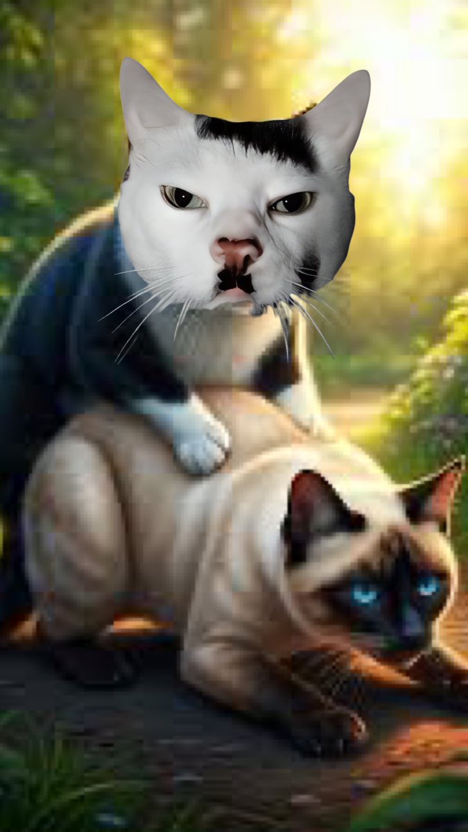 Adolf Kitler tweet media