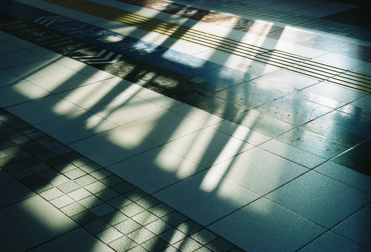 何気なく撮った写真