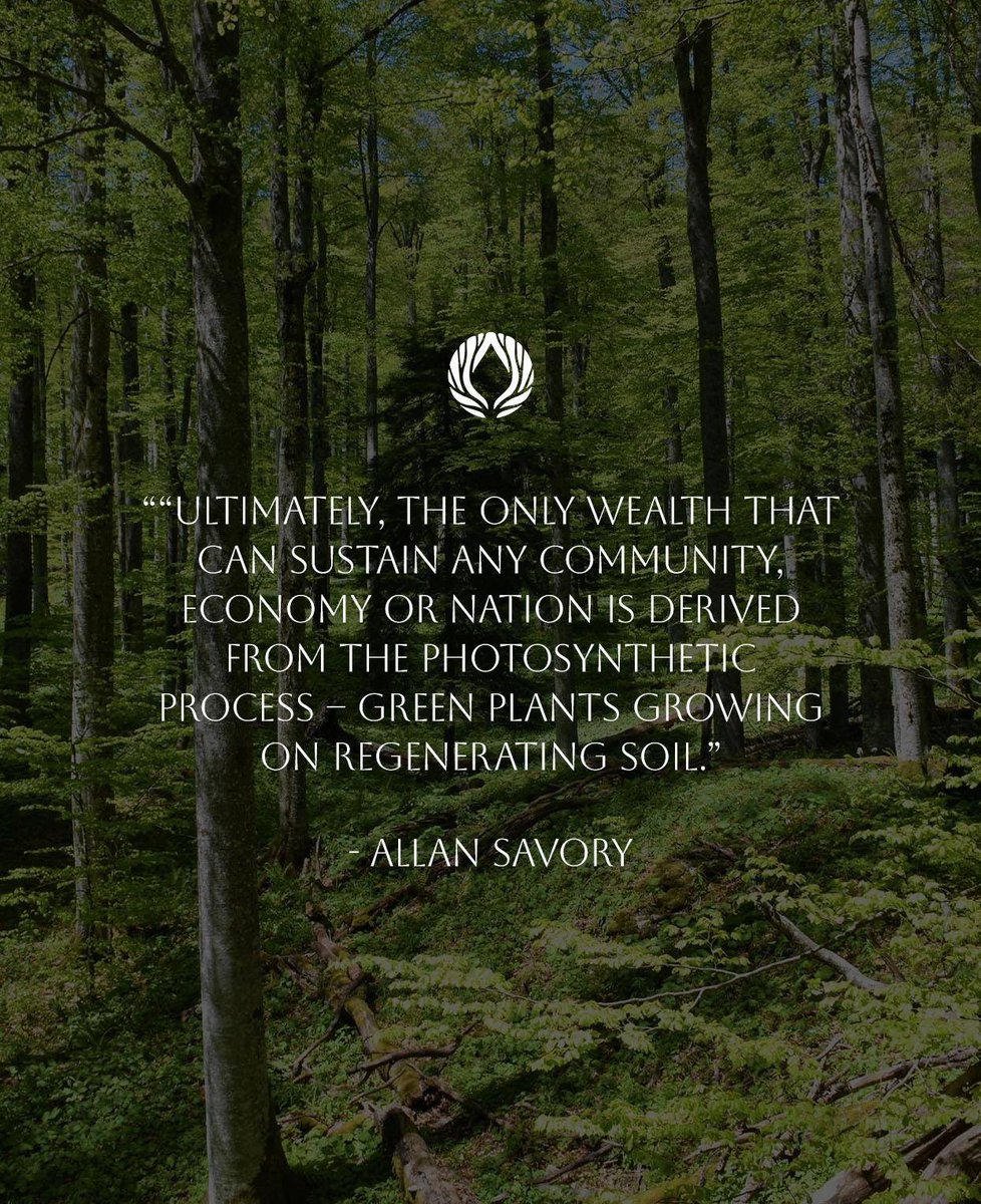 Biome Trust (@biometrust) on Twitter photo True wealth begins with the earth beneath our feet. <a href="/AllanRSavory/">Allan Savory</a> <a href="/SavoryInstitute/">Savory Institute 🌱🐂🌍</a> #biometrust #allansavory #regeneration True wealth begins with the earth beneath our feet. <a href="/AllanRSavory/">Allan Savory</a> <a href="/SavoryInstitute/">Savory Institute 🌱🐂🌍</a> #biometrust #allansavory #regeneration