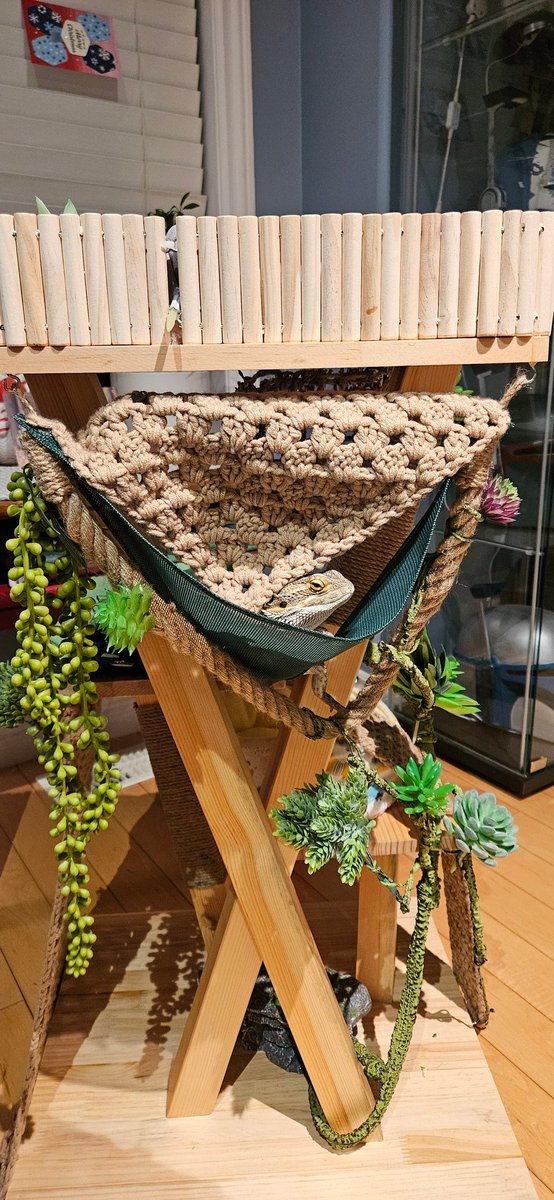 Waffles_Tort's tweet image. Mom no ask for Christmas present for her, she ask for present for me! Grandhumom get cat tree, den she decorate wit mom and make ultimate dragon window seat! I is queen of my castle!