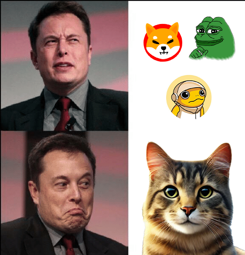 OdinCardanoCat's tweet photo. "Doge, Shiba & Pepe walked ...
so $ODIN the Cardano Cat could POUNCE! 🐱🚀
The fluffiest token with the sharpest claws in crypto. Are you in? 👀
#Cardano #CryptoCat #ODIN #MemeCoinMadness #ADA #CatCrypto #CardanoCommunity #CryptoCat #ODIN #MemeCoins #ADA #elon_musk 🐱👑 https://t.co/ZYm9ioAU6i