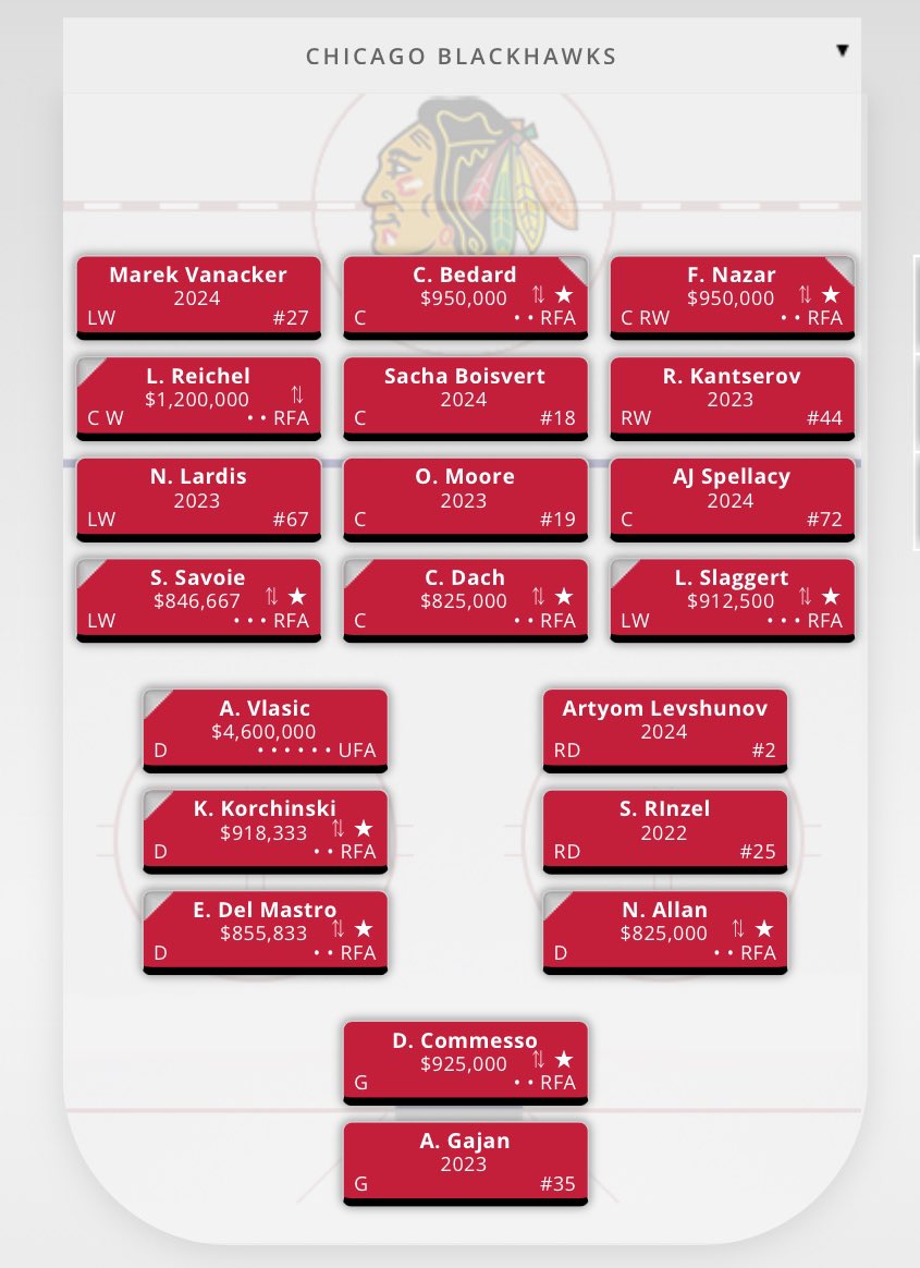 The vision. 

#Blackhawks