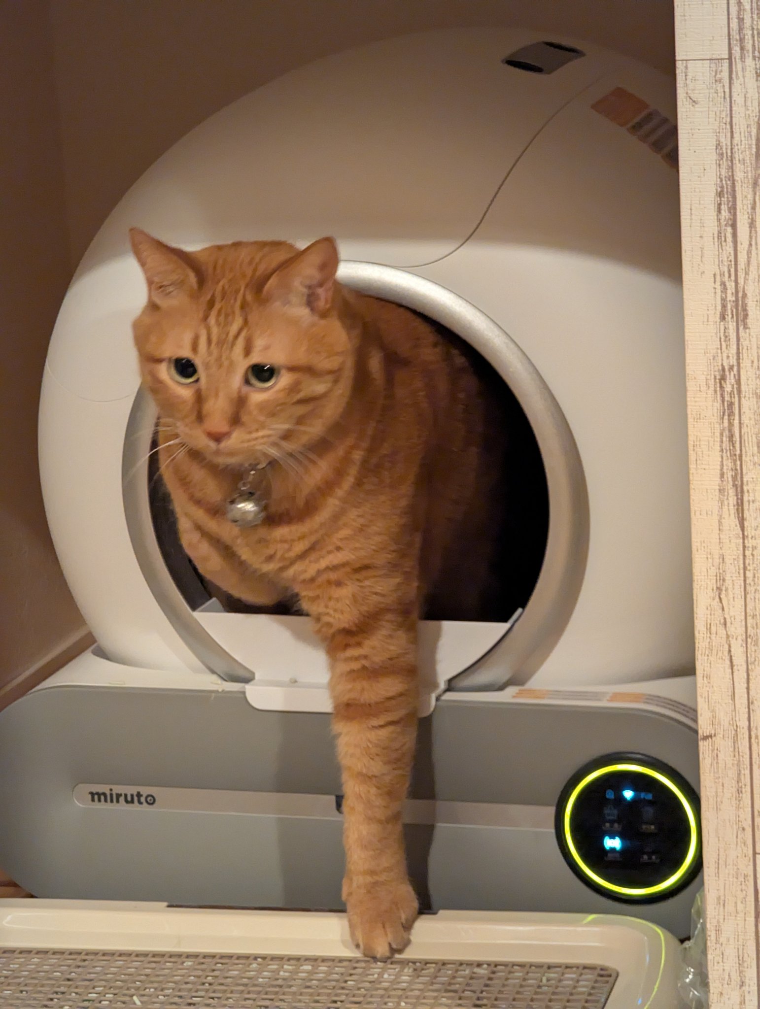 中古 miruto 猫用 全自動トイレ 実物写真あり 猫用 全自動トイレmiruto(ミルト)