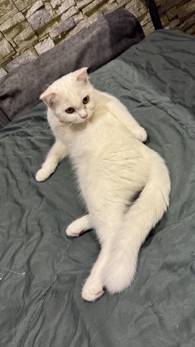 FB2553_FBi009's tweet image. Uno