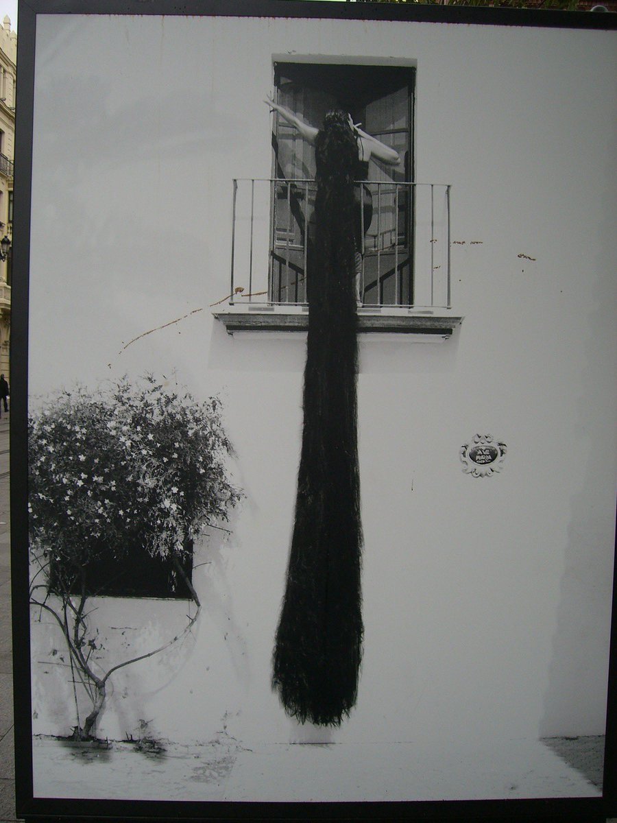 Shellerina_'s tweet image. The goal