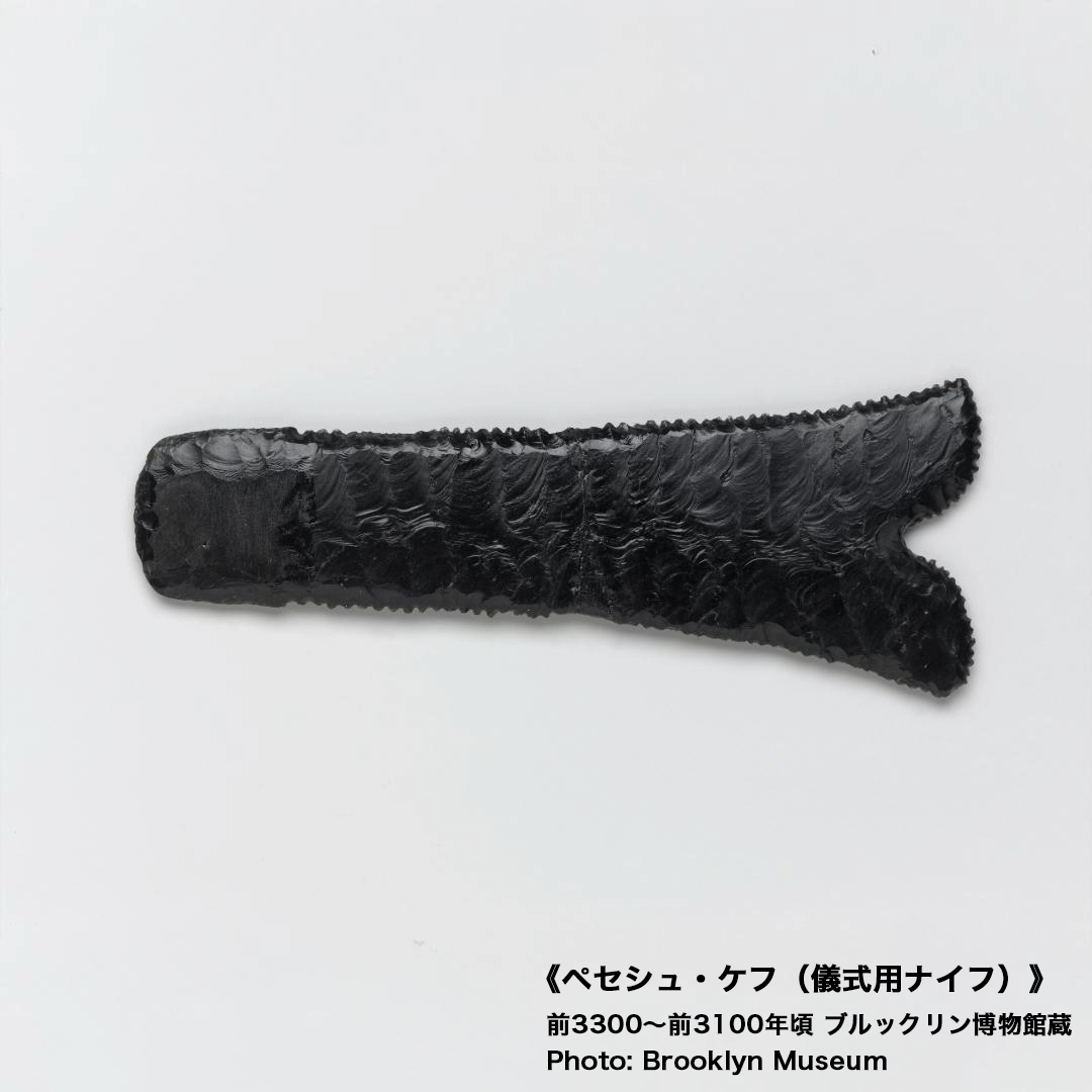 菊池風磨 さんが音声ガイド収録で読み方に苦戦⁉️ 口開けの儀式に使用