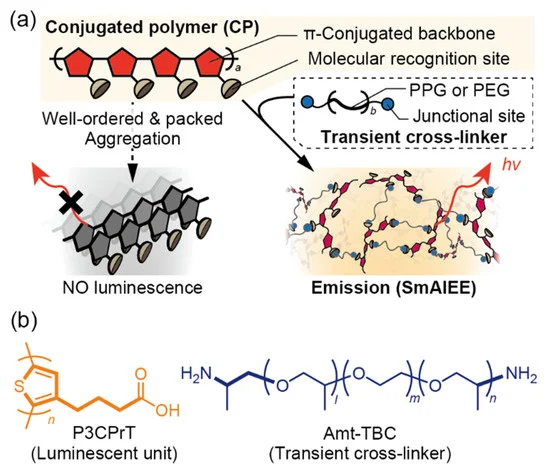 Sensors_MDPI's tweet photo. Displacement Assay in a Polythiophene Sensor System Based on Supramacromolecuar Disassembly-Caused Emission Quenching
https://t.co/G0PDiAYyDH
#polythiophene #fluorescentsensor https://t.co/PgYFzs8BPR