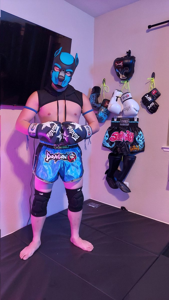 RRRR~ Currently riled up and wishing I could throw paws with someone! 🥊