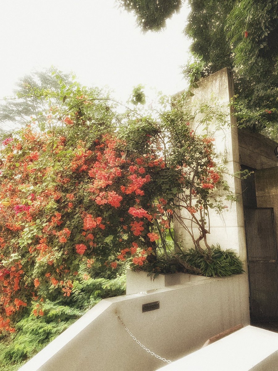 elle ଳ ‧₊˚ ⋅ tweet media