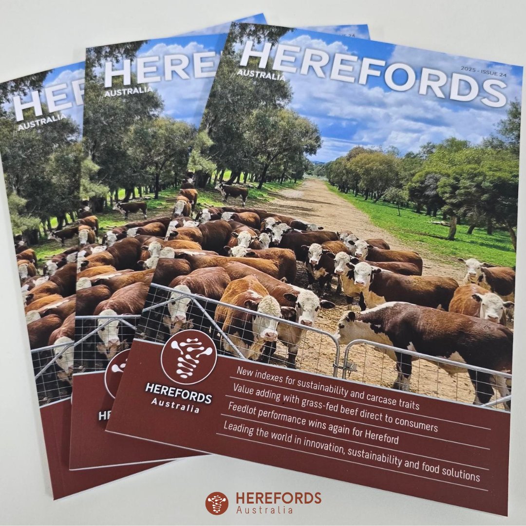 Did you see the latest edition of the Herefords Australia magazine? Check it out here: herefordsaustralia.com.au/marketing/bi-a…
Thank you to all who contributed to the articles and advertisements.🧾🌟