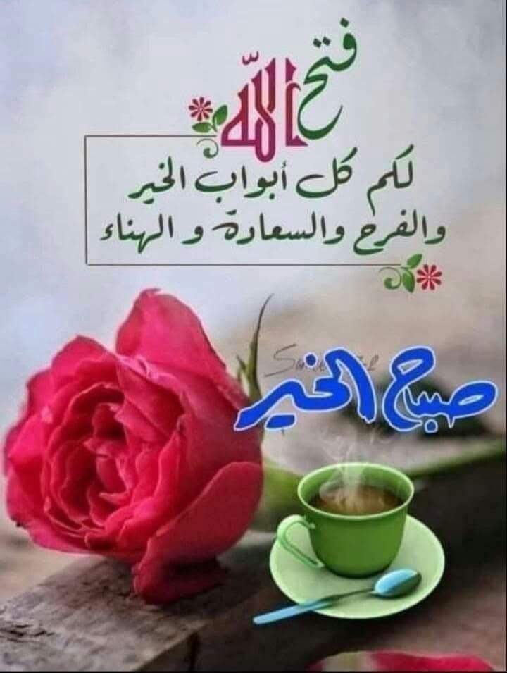 ﺍﻟﺴَّـــﻼَﻡُ ﻋَﻠَﻴـْـﻜُﻢ ﻭَﺭَﺣْﻤَﺔُ ﺍﻟﻠﻪِ ﻭَﺑَﺮَﻛـَـﺎﺗُﻪ 
 🌻صبـــح بخیـــر🌻
الْحَمْـدُ لِلَّهِ الَّـذِي عَـافَـانِـي مِمَّـا ابْتَـلاَكَ بِـهِ وَفَضَّلَـنِي عَلَـى كَثِيـرٍ مِمَّـنْ خَلَـقَ تَفْضِـيلاً 

 سب تعریف اللہ کے لیے ہے کہ جس نے مجھے اس بلا و