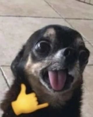 azx_morpheus's tweet image. มาคับ แจก 50/1คน รี+เฟบ ไม่ฟอลน้า (ถึงรวมจะไม่ดี😭 แต่ tgat 1 ก็ได้มากกว่าที่คาดไว้)
 #TGAT