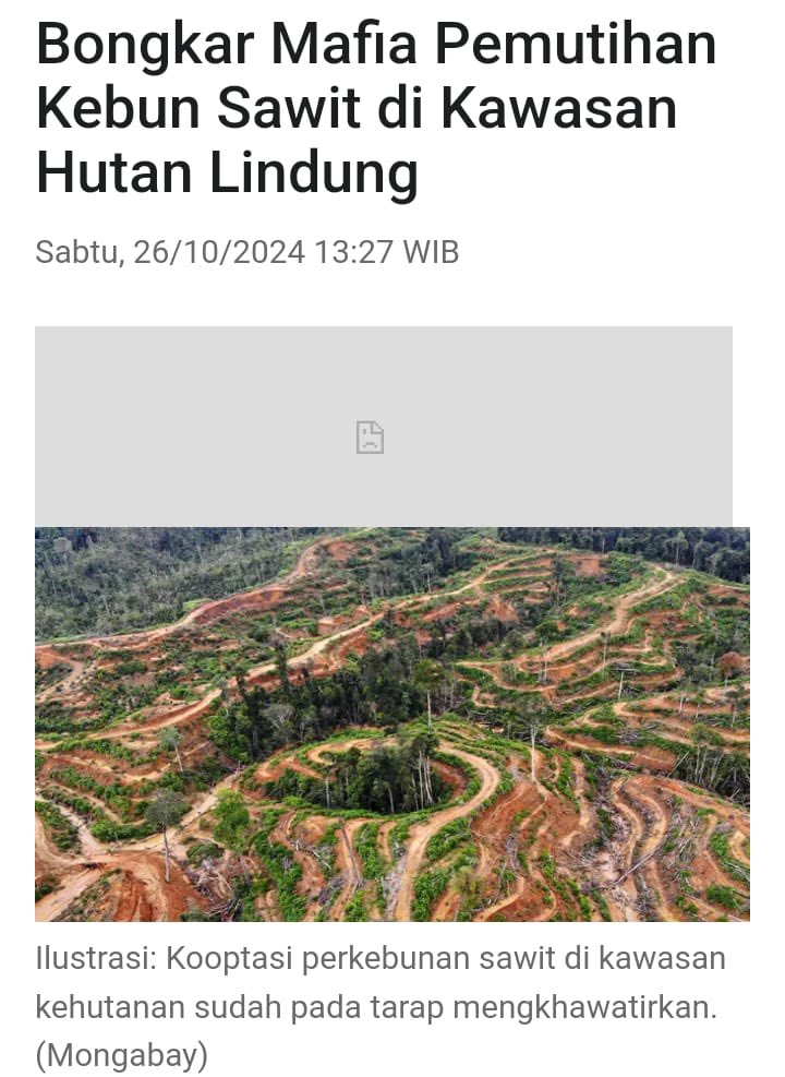 Beras sudah ga import lagi loh biar daya saing indonesia maju. Tapi kalo yg ini  terus-terusan dibiarkan, Indonesia bakal kehilangan daya saing di pasar global. Jadi, ayo serius banget sama ini #UsutLahanSawitIlegal