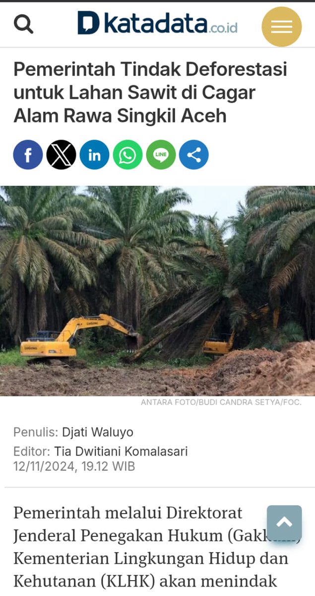 Astaga kok bisa sih ini dibiarkan, usut sampai tuntas #UsutLahanSawitIlegal