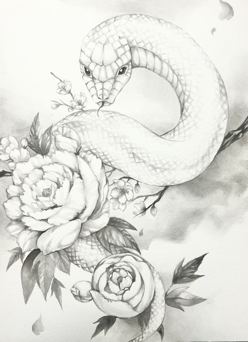 今年の干支、白蛇の水墨画完成！
蛇の絵をちゃんと描いたのは初。白いから鱗を描くのが予想以上に難しかった。
今年が良い年になりますように！
(蒼生)
#書初め　#白蛇　#巳年　#水墨画