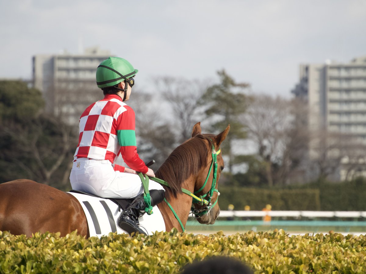 ゆあ ☘︎︎⋆͛ (@yua_1125as) / Posts / X