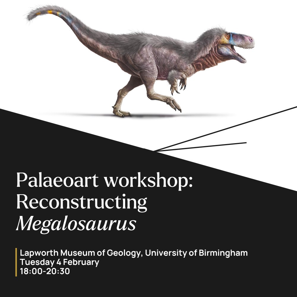 lapworthmuseum's tweet image. Palaeoart workshop 🦖✏️

Bring #dinosaurs back to life with #palaeoartist Andy Frazer @DragonsofWales, focusing on the reconstruction of Megalosaurus bucklandii.

📅 Tue 4 Feb, 6pm-8:30pm
📍 Lapworth Museum of Geology

Book your free space: ow.ly/zhoo50UzbQ1

@unibirmingham