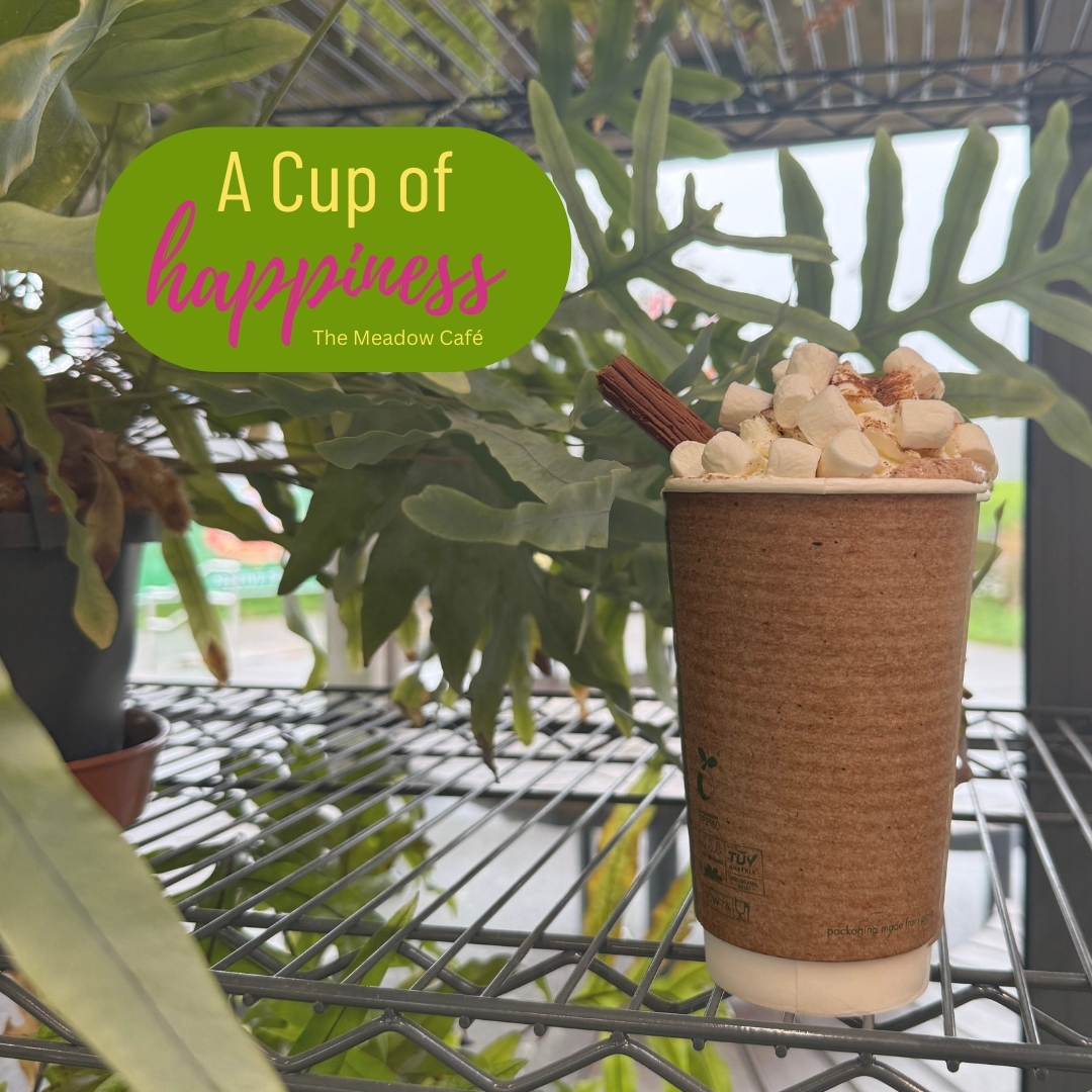Come and enjoy a cup of your favourite hot drink today!☕️ Whether it’s coffee, tea, or hot chocolate, we’ve got you covered!✨

#hotdrinksoncolddays #coffeelovers #WarmUpWithUs #ComfortInACup #plymouth #PlymouthCoffee #plymouthcafe #plymouthargyle #plymouthhotchocolate