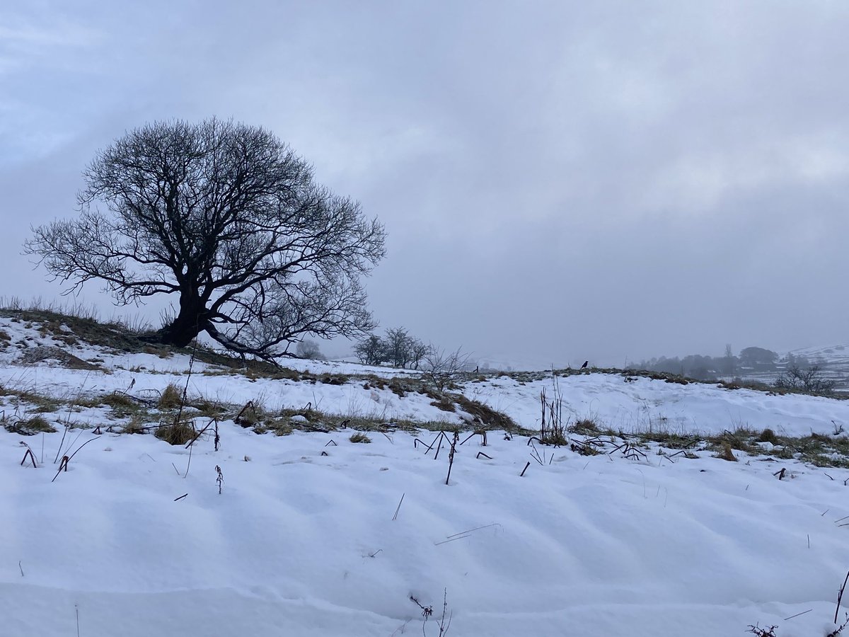 Andy Clark tweet media