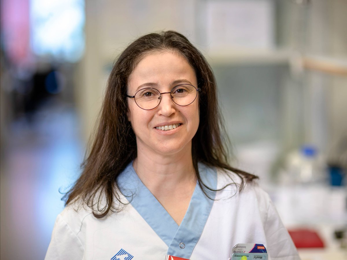 Forskare vid Umeå universitet har upptäckt en tidigare okänd mekanism som har betydelse för hur Skelleftesjukan uppkommer. Upptäckten kan öppna för att ett vanligt kosttillskott kan få betydelse för att hejda eller lindra den fruktade sjukdomen. umu.se/nyheter/ny-upp…