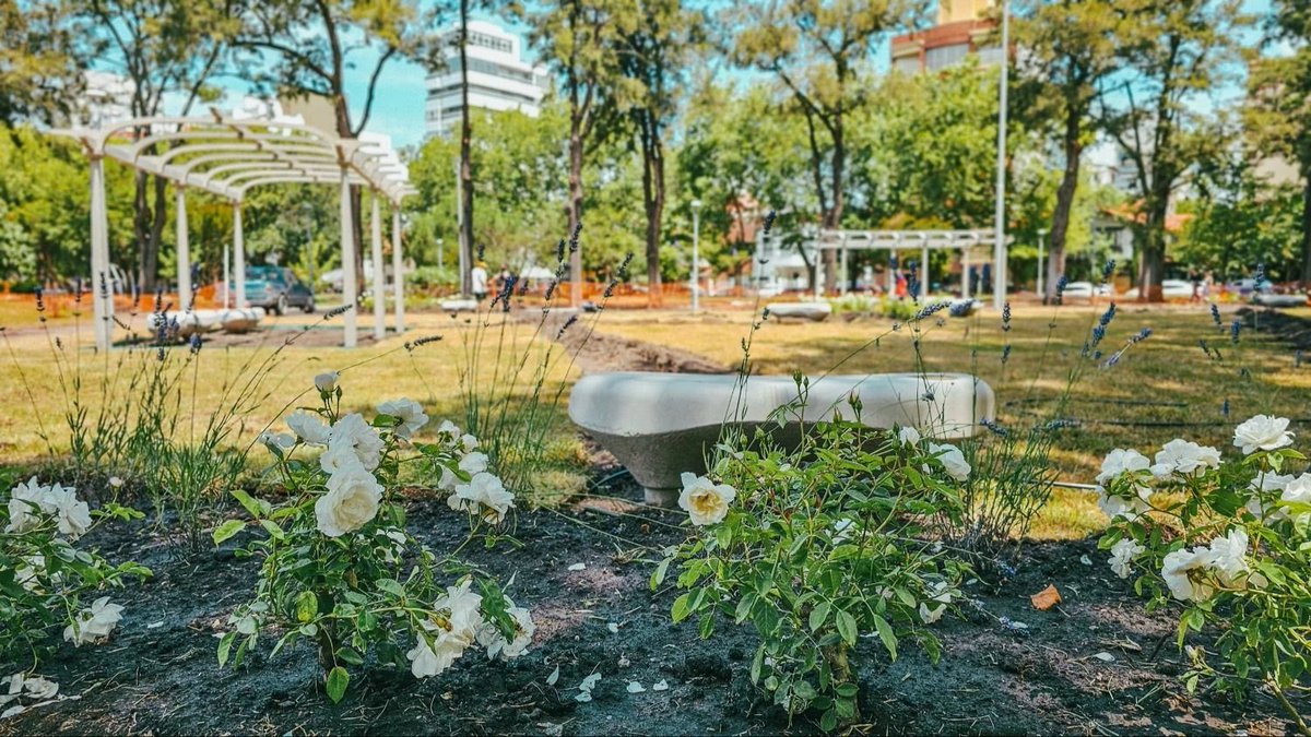 ProTecDi tweet media