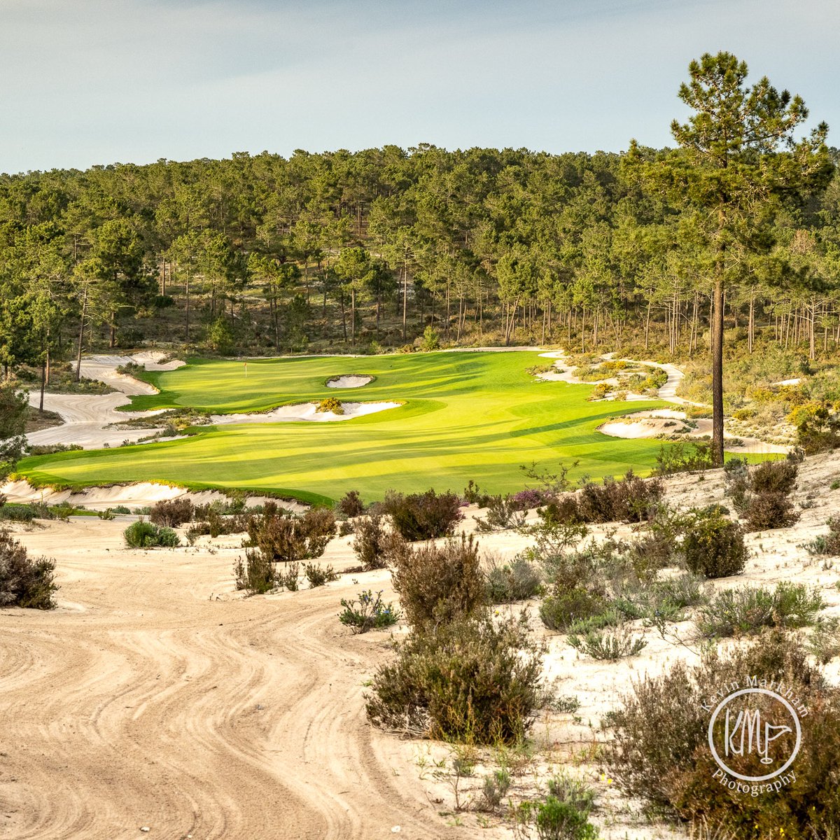 Kevin Markham tweet media