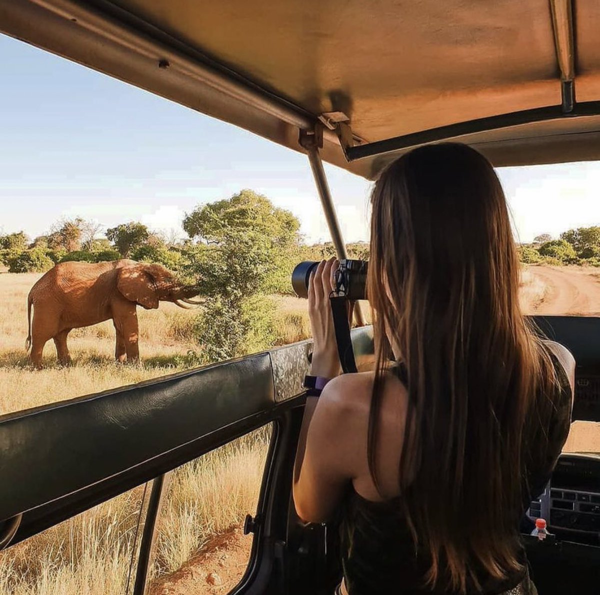 luitours's tweet photo. https://t.co/0QyX1suJef 

#games #luitours #safariphotography #canadatravel #adventure #travels #tourism #tours #safari #uktravel #adventure #travels #tourism #tours #africa #Elephant #ustravel #germanytravel #wildlife #wildlifephotography #nature #koreatravel #hongkongtravel https://t.co/HNbxJfCPdA