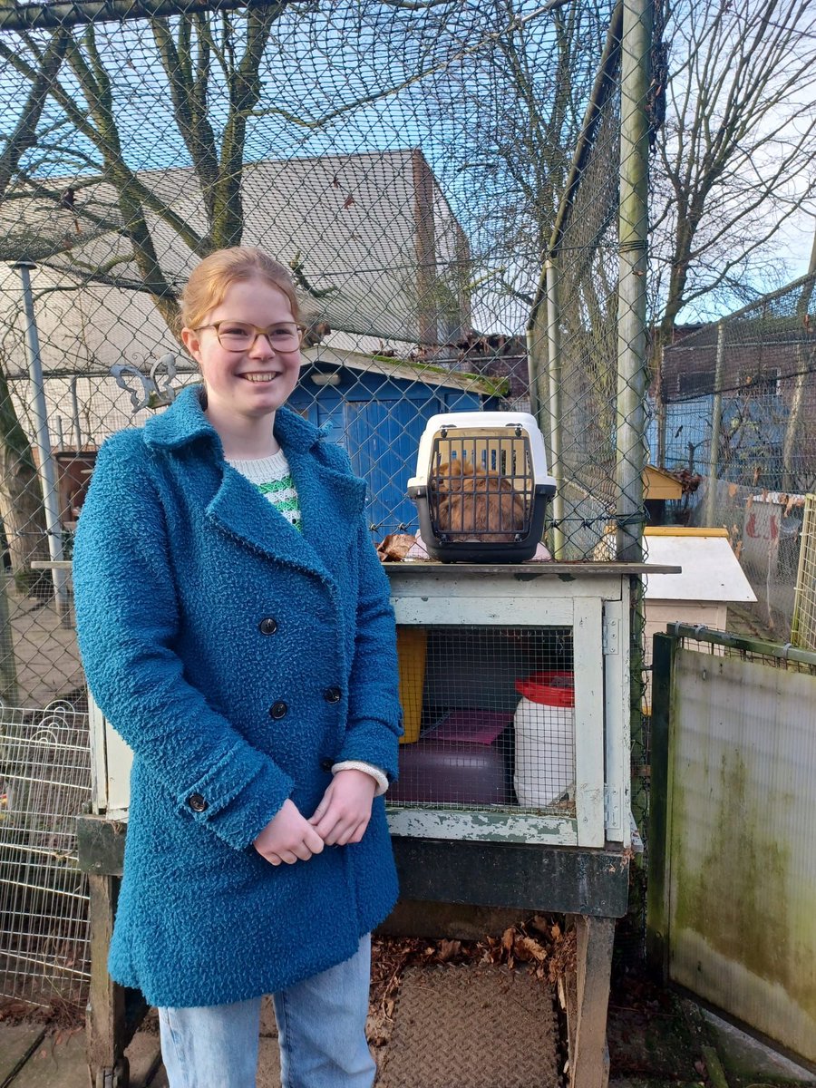 DCAchterhoek's tweet photo. ✨ Het oude jaar uit, een nieuw avontuur in! ✨
Tasha geniet samen met Boef van hun eigen erf 🐾💕. Ook onze Princess Diana heeft haar droomkasteel gevonden! 👑 Op naar 2025 vol nieuwe kansen en warme thuizen 🏡💛
#AdoptDontShop #NieuwBegin #Dierenliefde https://t.co/nzxHXK4Fmn