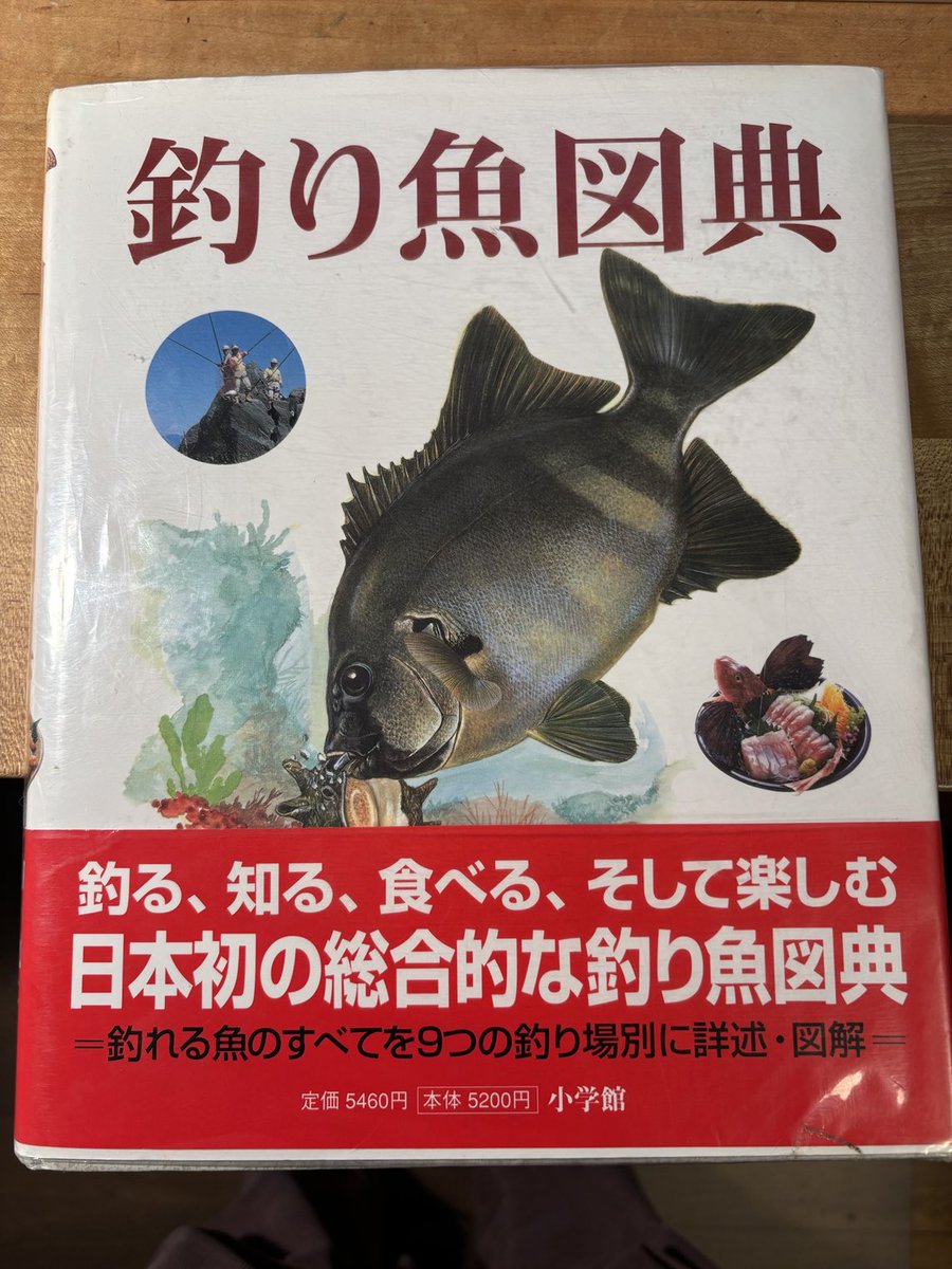 【中古】魚目句集 鯨の目 成田三樹夫遺稿句集 / 古本、中古本、古書籍の通販は「日本の