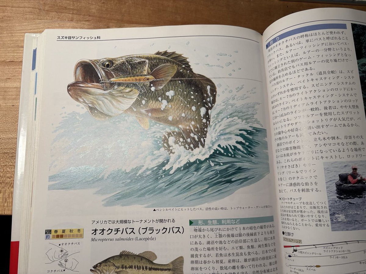 今日古本屋で見つけて買った「釣り魚図典」が面白い！ボクは全然釣りを