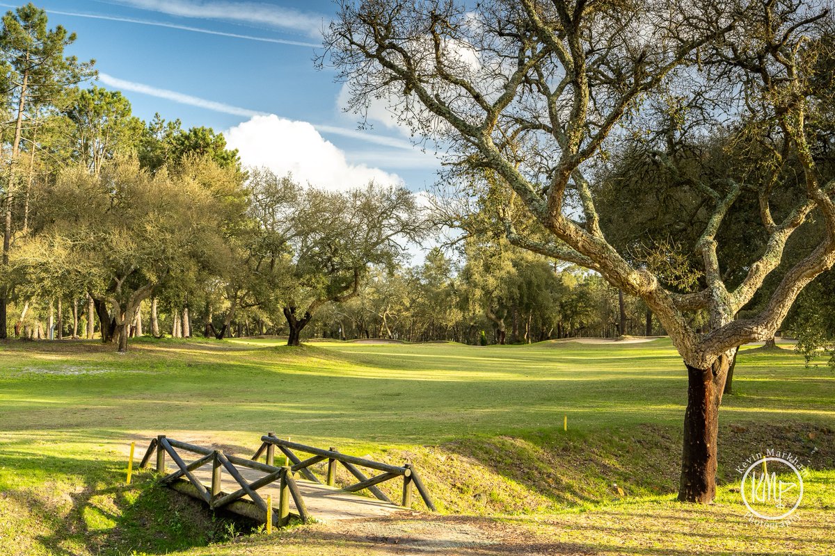 Kevin Markham tweet media