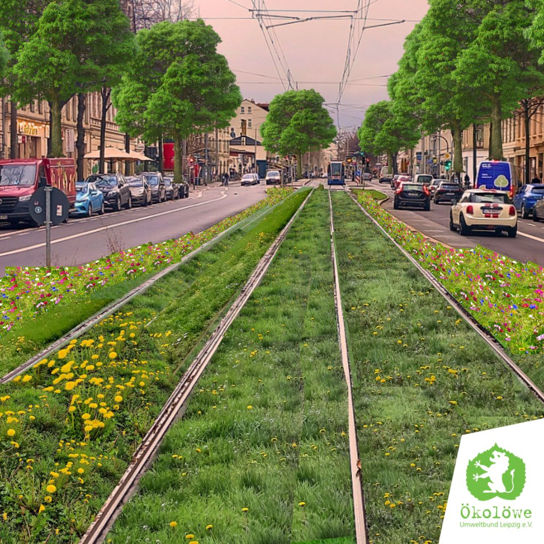 Sehr gut! 👍 Die #Karli bekommt endlich neue #Rasengleise auf dem Abschnitt zwischen Kurt-Eisner-Straße und #Südplatz. 🧵