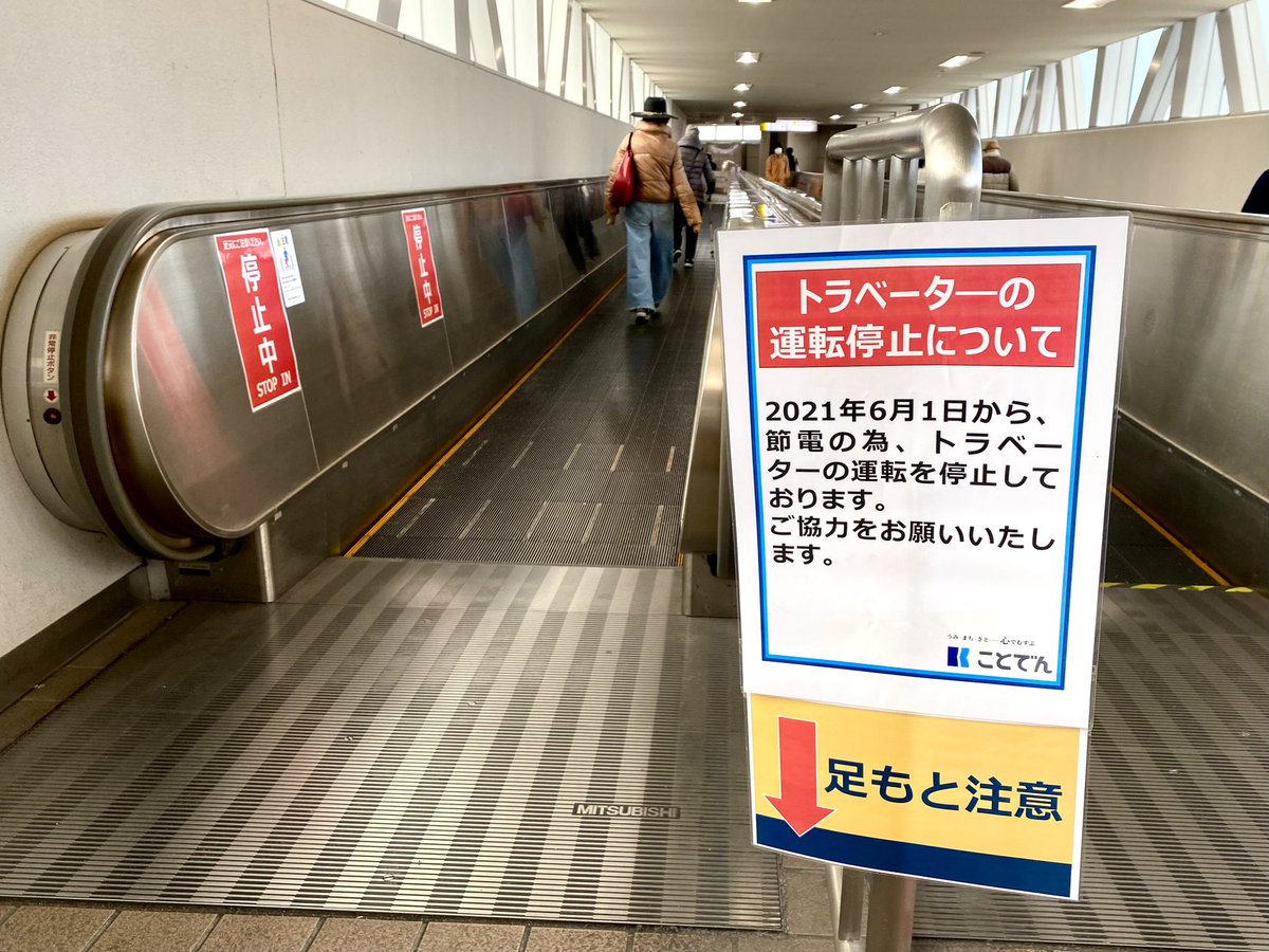 羽鳥写真館 tweet media