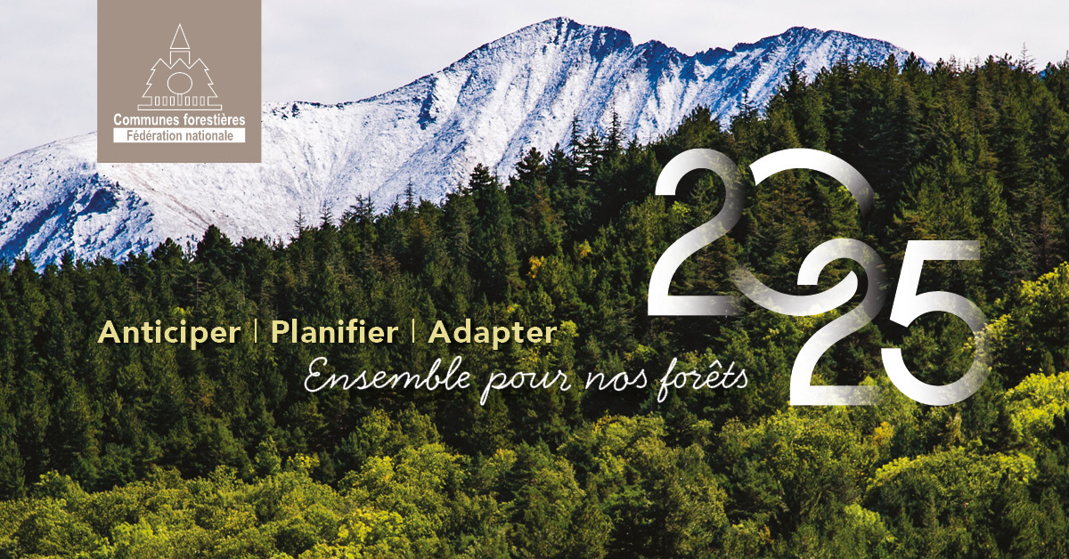 #COFORAURA 🌲✨
Le Président Alain Meunier et le Conseil d’Administration des Communes forestières Auvergne-Rhône-Alpes s’associent à la <a href="/fncofor/">FNCOFOR</a> , pour vous adresser leurs meilleurs vœux pour l'année 2025 ! 🎉