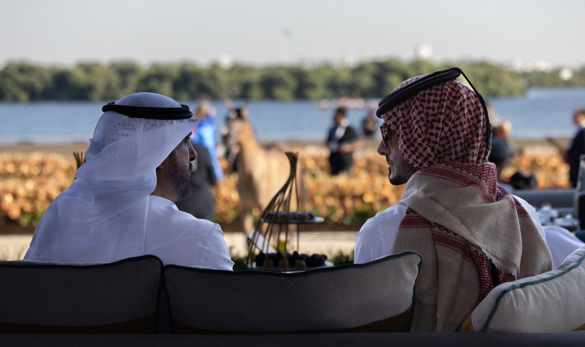 iiw2w2's tweet photo. 📸🐎

#عجمان #الامارات 🇦🇪📍
#جولة_الجياد_العربية

@AJRCMO  
@ajammar https://t.co/CUOLraMM80