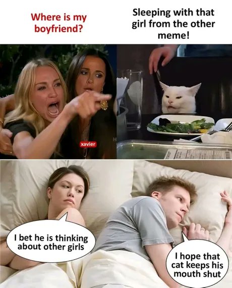 Fat Freddy's Cat tweet media